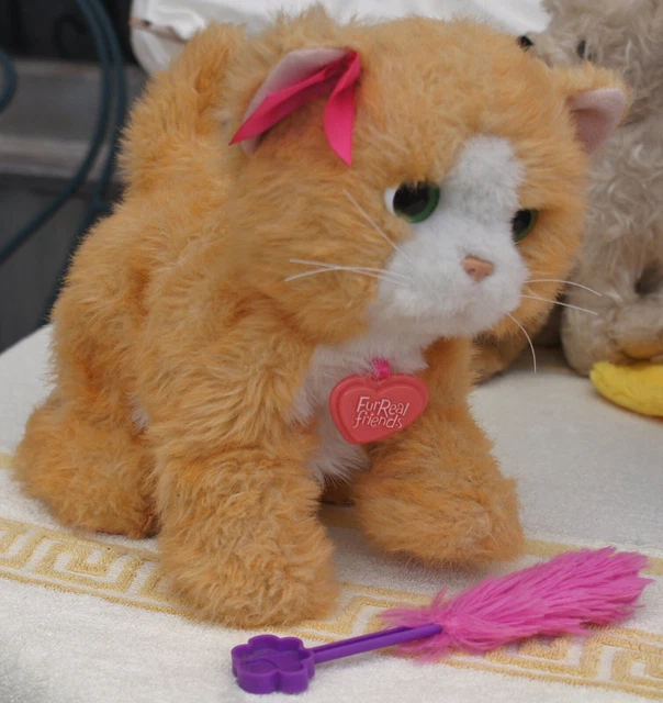 Peluche chat joueur