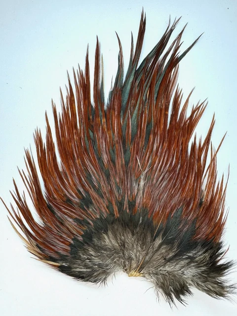 Bordo Piume Di Gallo - Larghezza 25-30 Cm, Confezione 0.9 M, Colore Fucsia Per Costumi E Decorazioni - Foto 5