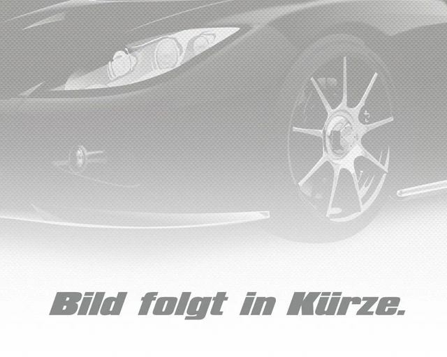 Set Dämpfer Heckklappe Gasfeder 865mm für Fiat Doblo 119 223 01-10