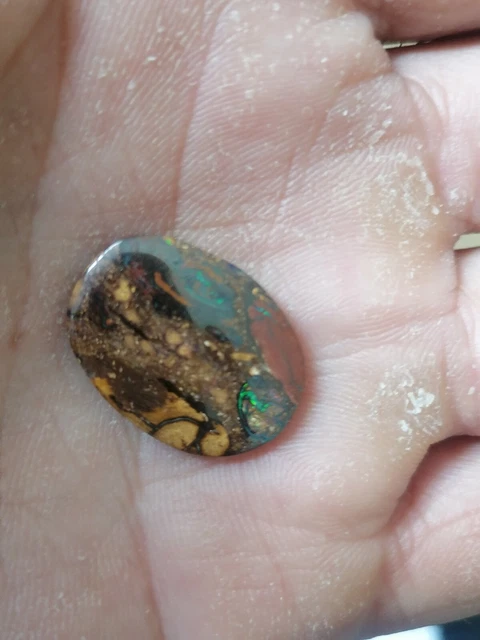 opale boulder 12,20ct australie , non traitée.23,68/17,71/3,30mm