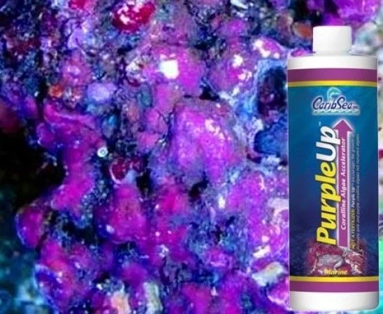 Carib Sea Purple Up Corraline Algae Growth Accelerator 16oz 473ml Florida Made