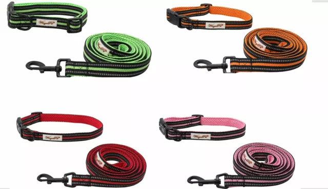 Winzee Pet Airmesh Nylon Pet Dog Collar & Leash Set Puppy Collar Dog Necklace