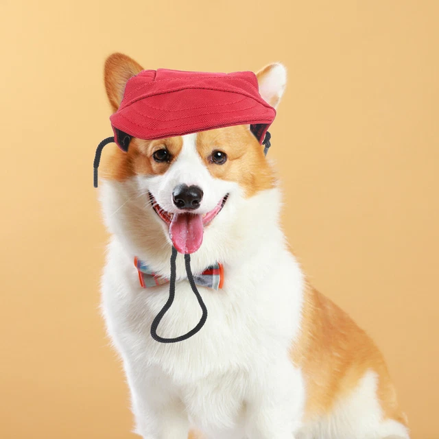 Dog Hats Small Dogs Pet Baseball Cap Cute Gift Sunbonnet Driver