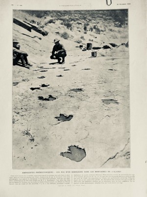 Alaska 1924 I Dinosauro Impronte Preistorici Montagne Alaska Bernheimer 