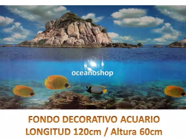 FONDO DECORATIVO CARIBIAN ACUARIO 120x60cm de altura terrario pecera D461