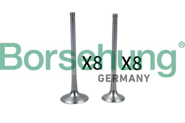 Valvola di ingresso Borsehung B18637 per VW GOLF 6 5K1 SCIROCCO 3 137 138 TIGUAN CC B6