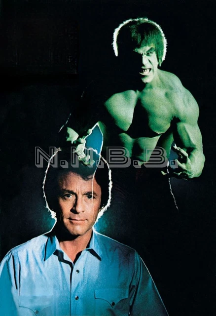 BILL BIXBY AND Lou Ferrigno The Incredible Hulk 10 X 8 Publicity Photo ...