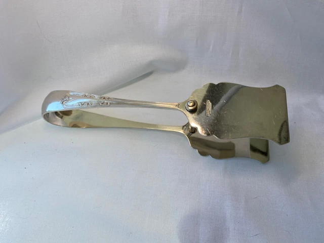 Alex & Clark Welbeck Asparagus / Sandwich Tongs