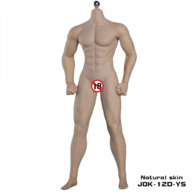 1/6 Male Body Seamless Muscular Action Figure Model 12 for Phicen Hot Toys  Head 
