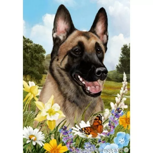 Summer House Flag - Belgian Malinois 18251