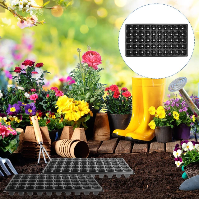 Lot De 6 Plateaux De Germination Plantes 54,5 X 28,5 Cm Avec Trous - Semis Et Jardinage Efficace