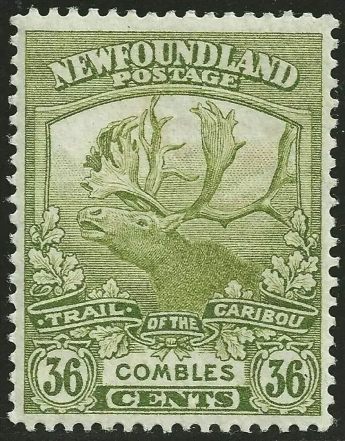 NEWFOUNDLAND #126 MH, VF/XF - 36c CARIBOU issue