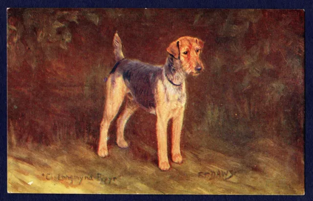 WELSH TERRIER - Spratts Dog Postcard Illustrated by F.T. Daws