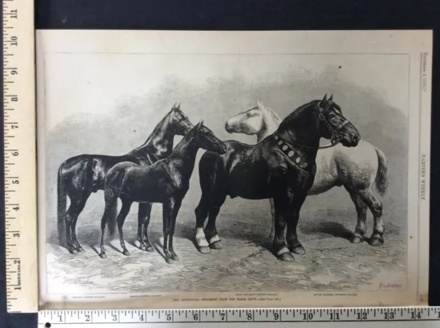 Rare Antique Original VTG 1876 Horse Show Harper's Engraving Art Print