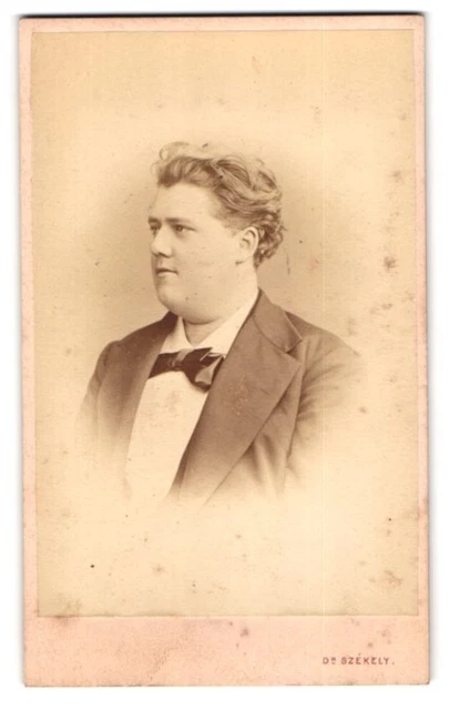Fotografie Dr. Szekely, Wien, Portrait korpulenter Herr im Anzug mit Fliege
