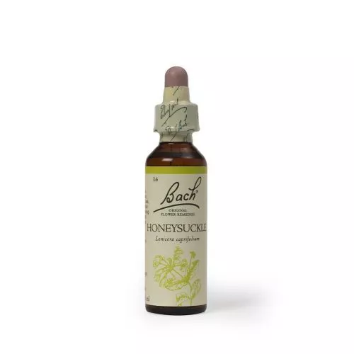 Bach Original Flower Remedies Honeysuckle 20ml-7 Pack