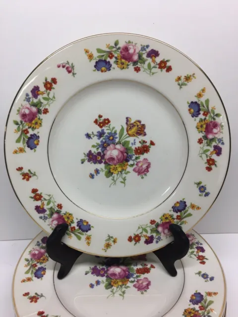 Syracuse China Old Ivory Sharon Pattern Dinner Plate 10”