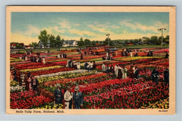 Holland MI- Michigan, Nelis Tulip Farm, Aerial Scenic View, Vintage Postcard
