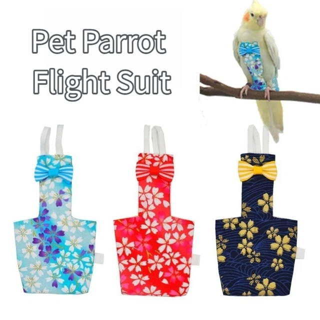 How to Make Clothes for a Bird: Easy DIY Steps for Beginners