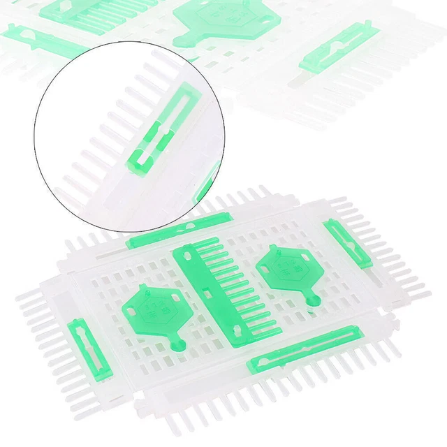 Professional Needle Cage Queen Cage Box Beekeeping Equipment Beekeeping Hot