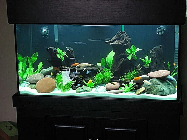 Super White Fish Tank Aquarium Sand  Cichlid / Stingrays/  Discus  42 Lb's 9