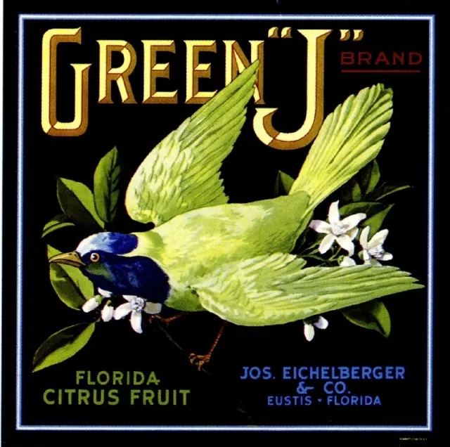 Eustis Florida Green J Bird Orange Citrus Fruit Crate Label Vintage Art Print