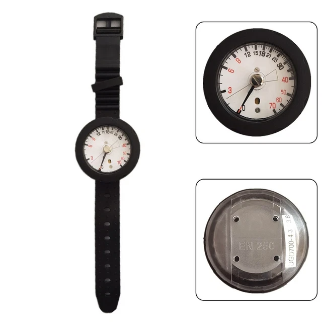 La Cité De La Mer, 20 Ans D'aventures Sous Marines - Documentaire En Replay