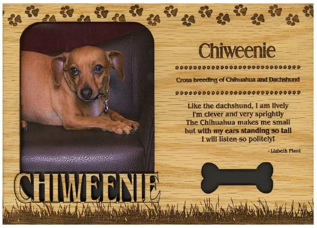 Chiweenie Engraved Wood Picture Frame Magnet