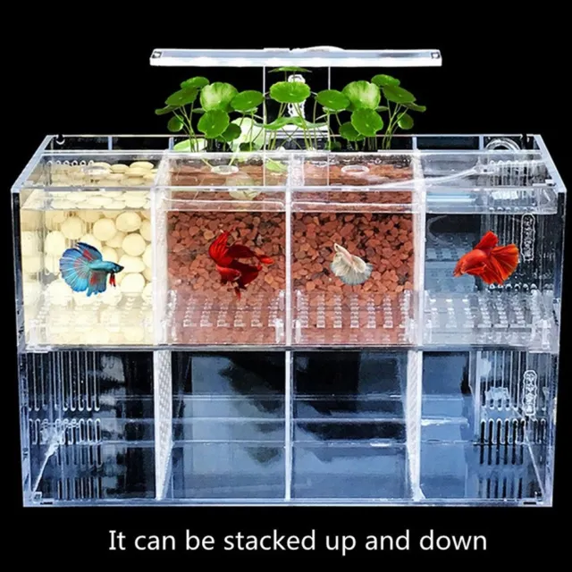 Aquarium LED Acrylic Betta Fish Tank Set Mini Desktop Light Water Pump Filter AU