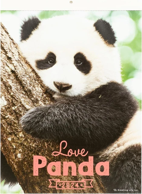 Greeting Life 2024 Calendar Panda W Body size W260xH360xD80mm wall mounted 200g