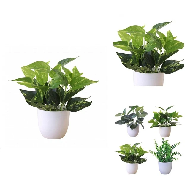 Simulación ornamental vívida exquisita simulación ornamental de plantas de follaje artificial colores vibrantes