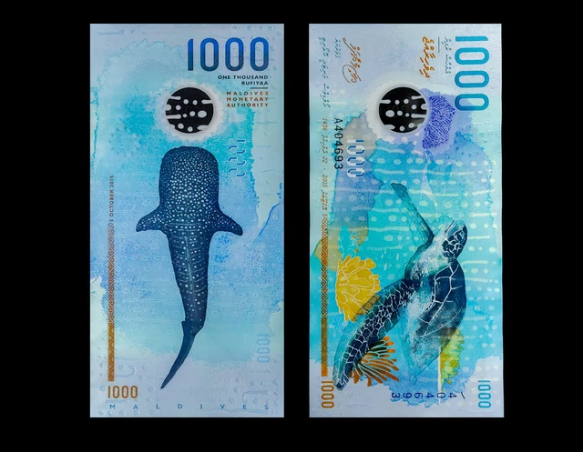 MALEDIVEN 1000 RUFIYAA 2015 Polymer P 31 UNC EUR 101,29 - PicClick DE