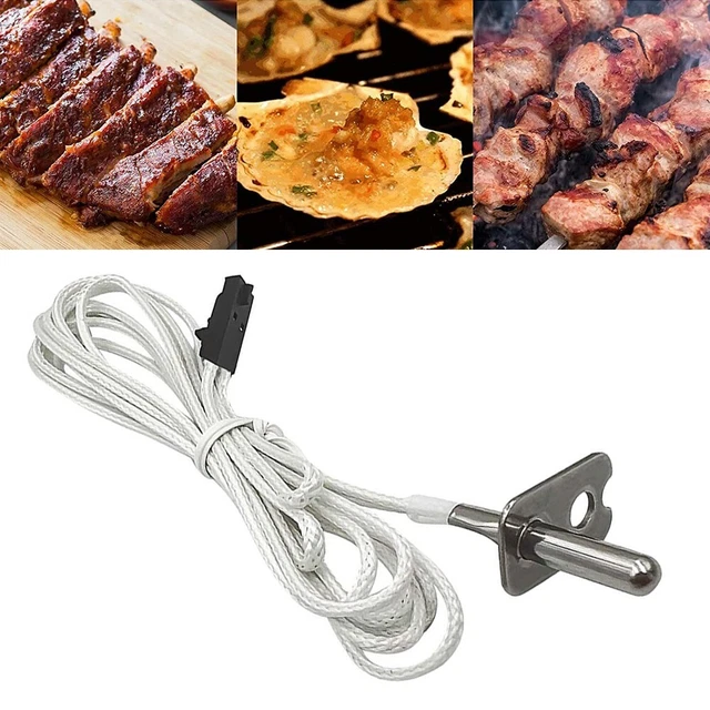 Assurez des résultats de cuisson optimaux avec cette sonde de température de r