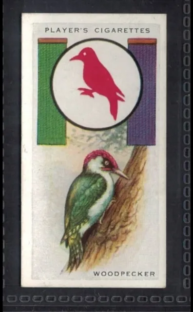 WOODPECKER Boy Scout & Girl Guide Card - 90 + years old # 24