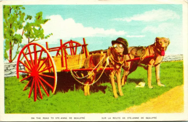 Vtg Postcard 1910s Quebec Canada Sainte Anne De Beaupre Dogs in Hat Pulling Cart