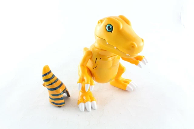 603972_5