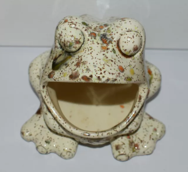 https://www.picclickimg.com/jDYAAOSwtkJlOERe/Vintage-Drip-Glazed-Frog-Sponge-Holder-Large-Mouth.webp