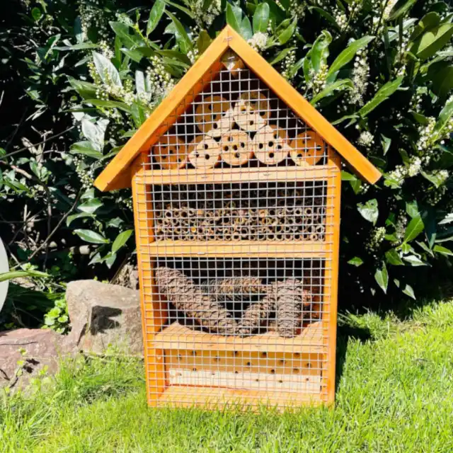Hotel de insectos de madera DARLUX L ayuda de anidación de abejas silvestres casa de insectos marrón