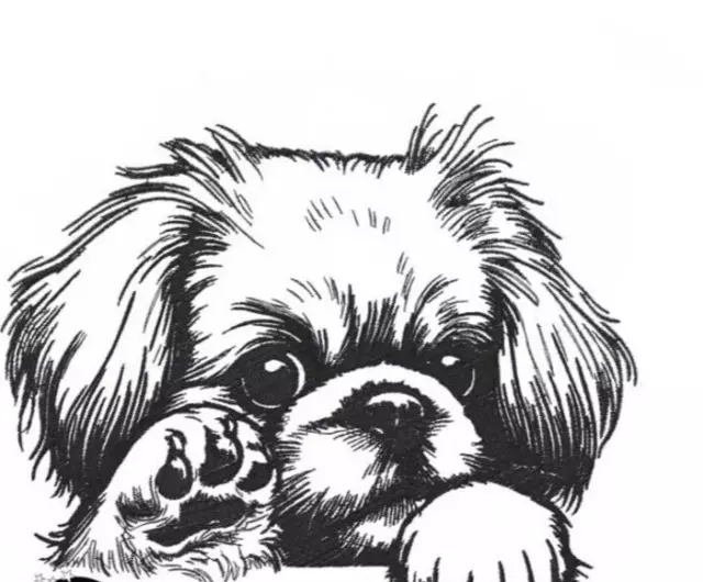 Pekingese Puppy Dog Embroidered Personalized Tee Shirt 2X