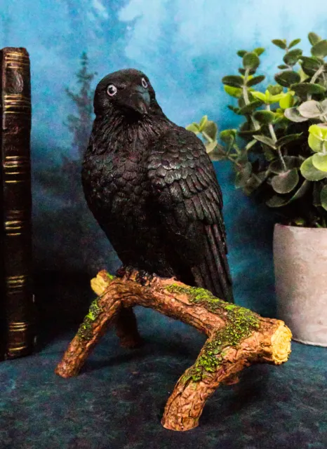 Ebros Gothic Raven Crow Perching On Tree Branch Scavenger Bird Figurine 5.75" H
