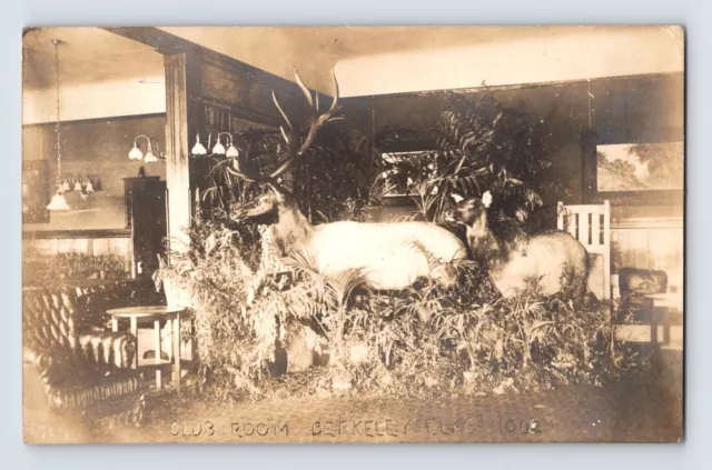 Postcard RPPC California Berkeley CA Elks BPOE 1002 Club Room 1910s Unposted