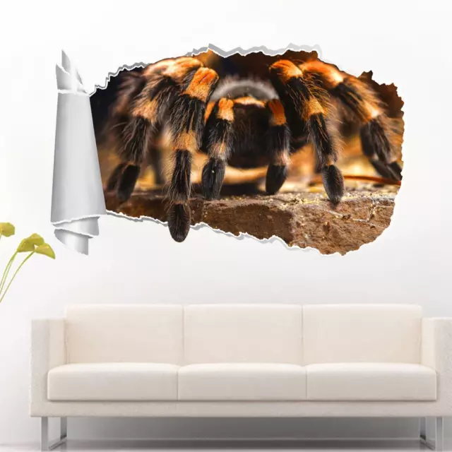 Tarantula Spider 3D Torn Hole Ripped Wall Sticker Decal Decor Art Animals WT302