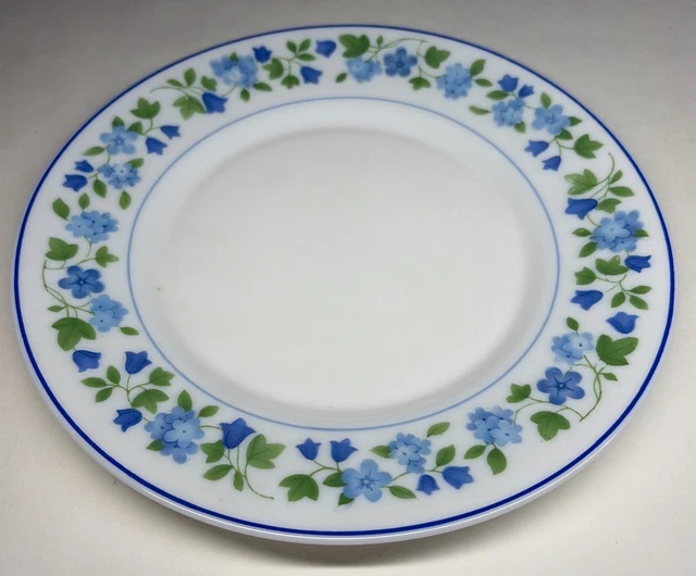 Lot11 De 6 Grandes Assiettes Plates Vintage Mint Arcopal France Esso D 245 Cm Imgx1200 2901