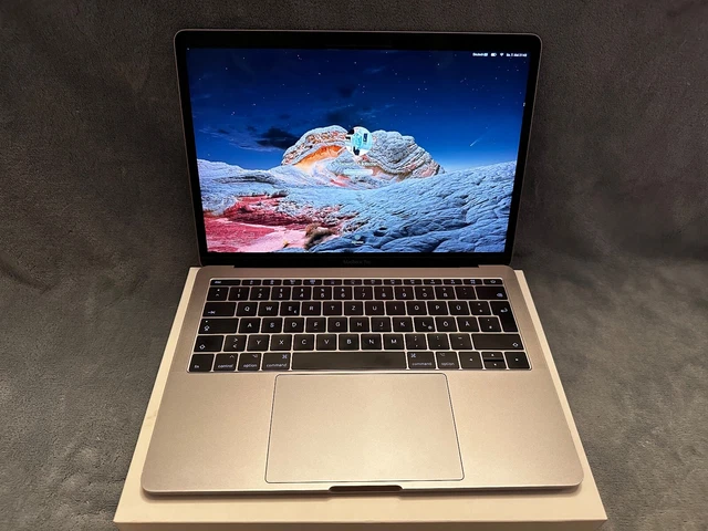 Apple MacBook Pro 13,3"" (256 GB SSD, Intel Core i5, 2,3 - 3,6 GHz, 8 GB)