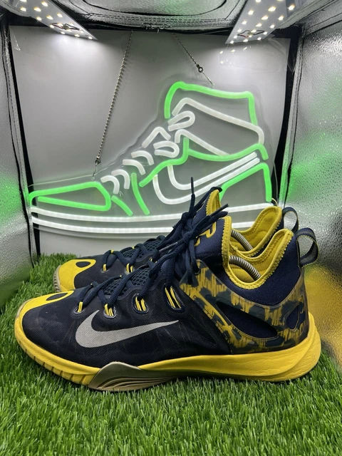 Nike richer Zoom Hyperrev Paul
