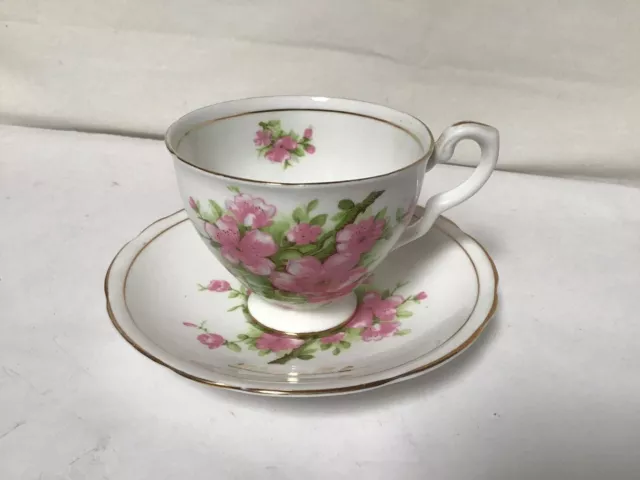 QQ57 Vintage Royal Stanford Very Beautiful Bone China Teacup & Saucer For Gift