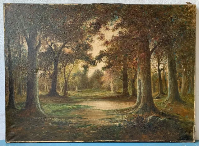Ölbild Wald Landschaft mit Bäumen Eichen Buchen F. Hübner signiert 71,3 x 98 cm 2