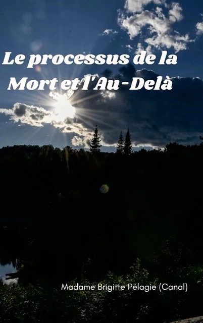 Le Processus De La Mort Et L'au-Del? (Couverture Rigide)