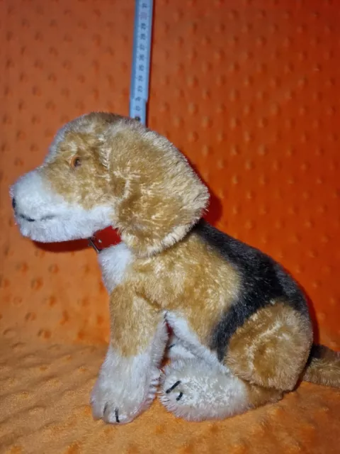 Steiff HUND ANTIK ALT (Sammlungsauflösung) Hund BIGGIE BEAGLE sitzend 18 cm