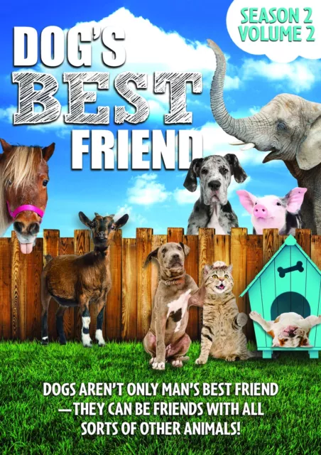 Dog's Best Friend: Season 2 Volume 2 (DVD) Sara Marino